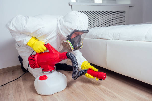 Professional Pest control in Sunny Isles Beach, FL